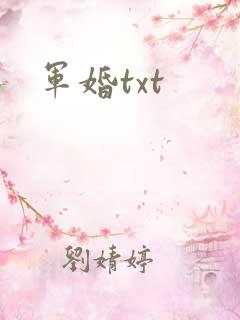 军婚txt