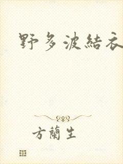 野多波结衣
