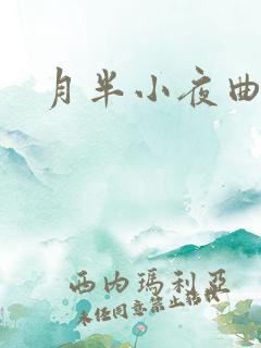 月半小夜曲小说