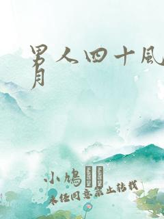 男人四十风花雪月