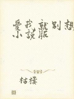 爱我就别想太多小说版