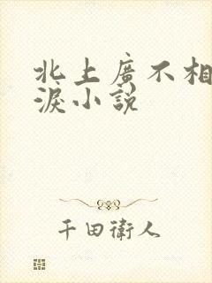 北上广不相信眼泪小说