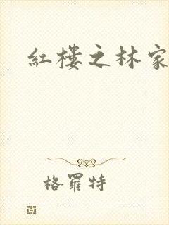 红楼之林家媳妇