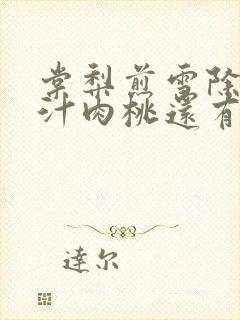 棠梨煎雪除了蜜汁肉桃还有什么肉