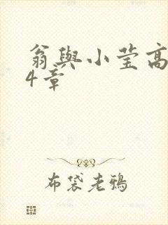 翁与小莹高潮24章