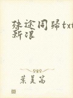 殊途同归txt新浪