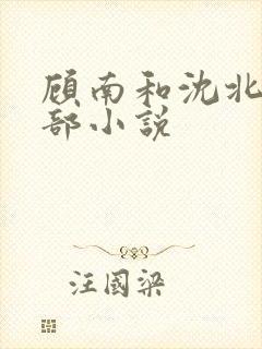 顾南和沈北是哪部小说