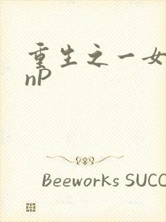 重生之一女九龙nP