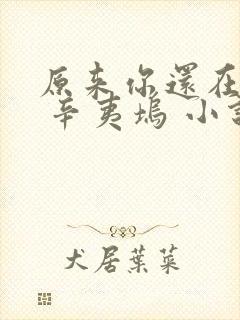 原来你还在这里 辛夷坞 小说