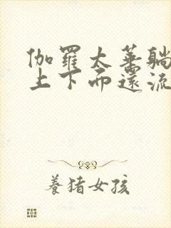 伽罗太华躺在床上下面还流东西