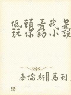 低头看我是怎么玩你的小说