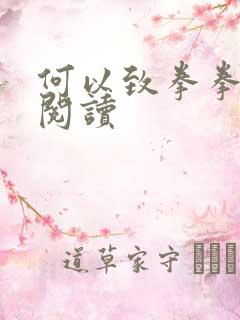 何以致拳拳全文阅读