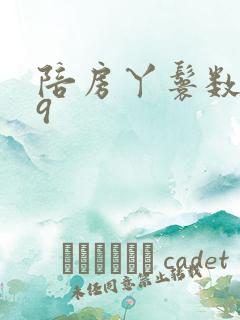 陪房丫鬟数数39