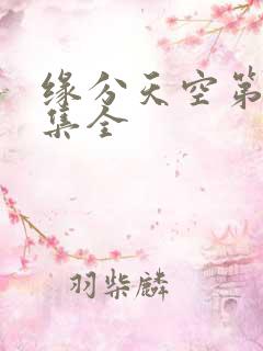 缘分天空第12集全