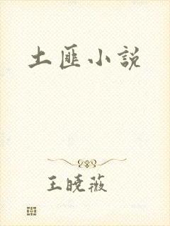 土匪小说
