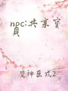 npc:共享宝贝