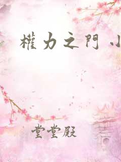 权力之门 小说