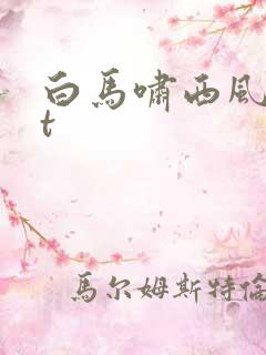 白马啸西风txt