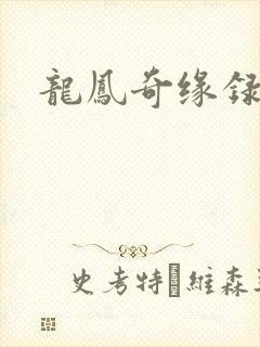 龙凤奇缘录