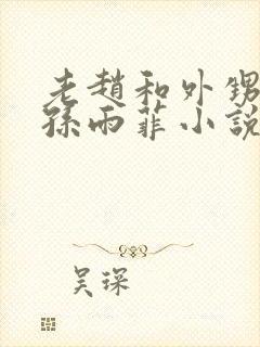 老赵和外甥媳妇孙雨菲小说