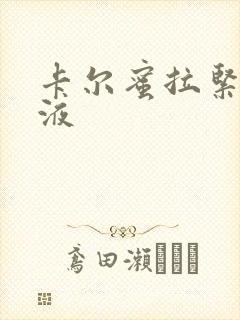 卡尔蜜拉紧致乳液