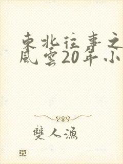 东北往事之黑道风云20年小说