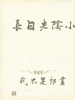 长日光阴小说