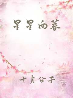 星星向蓉