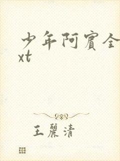 少年阿宾全集txt