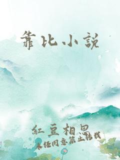 靠比小说