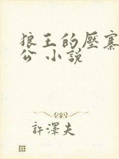 狼王的压寨小相公 小说