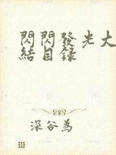 闪闪发光大团圆结目录