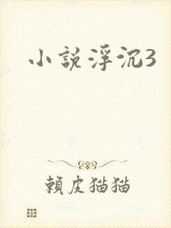 小说浮沉3
