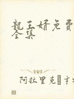 龙王婿免费完结全集