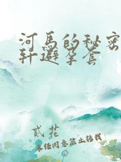 河马的秘密河文轩避孕套