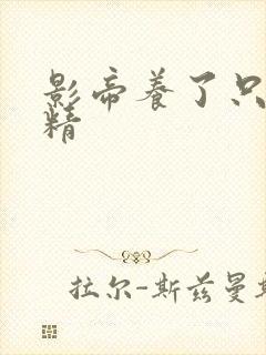 影帝养了只玫瑰精