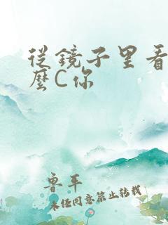 从镜子里看我怎么C你