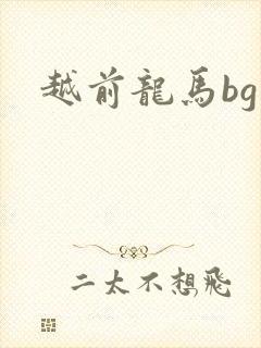 越前龙马bg