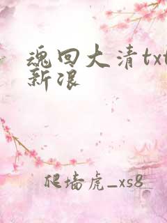 魂回大清txt新浪