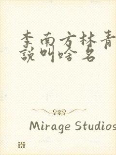 李南方林青青小说叫啥名