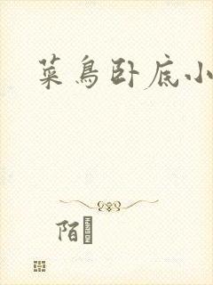 菜鸟卧底小正太