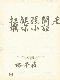 把腿张开老子臊烂你小说