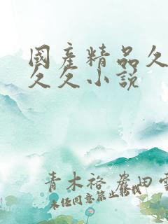 国产精品久久久久久小说