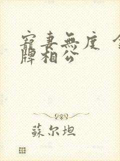 宠妻无度  金牌相公