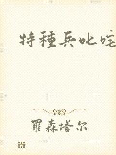 特种兵叱咤异界