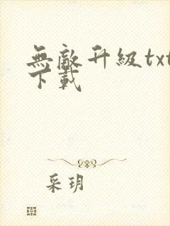 无敌升级txt下载
