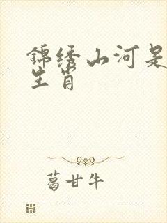 锦绣山河是什么生肖