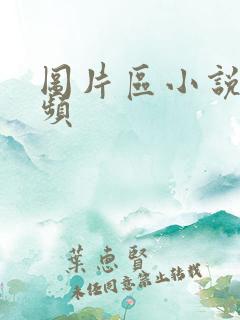 图片区小说区视频