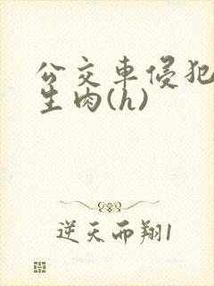 公交车侵犯小男生肉(h)