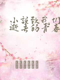 小说致我们终将逝去的青春